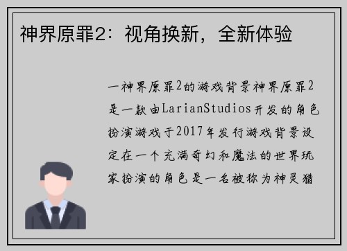 神界原罪2：视角换新，全新体验